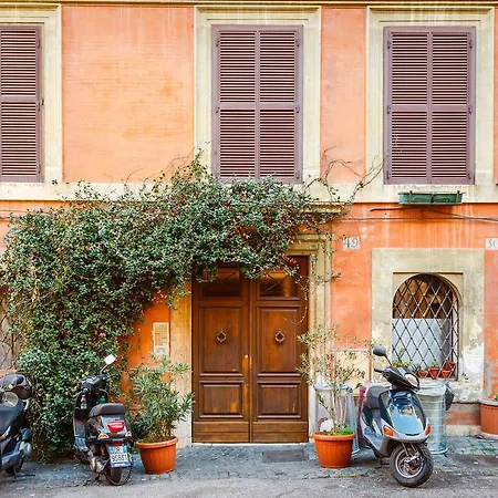 As Feel - Selci Rome